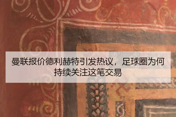 man-lian-bao-jia-de-li-he-te-yin-fa-re-yi-zu-qiu-quan-wei-he-chi-xu-guan-zhu-zhe-bi-jiao-yi-2-514.jpg